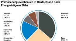 AEE_PEV_in_D_2024_nov25