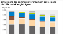 AEE_Endenergieverbrauch-Energieträger_D_nov25