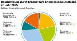 AEE_Beschaeftigung-Erneuerbare-Energien_in_2025_Juli26_72dpi