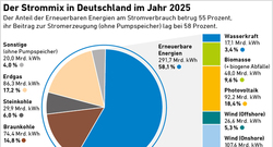 AEE_Strommix_Deutschland_2025_jun26_72dpi