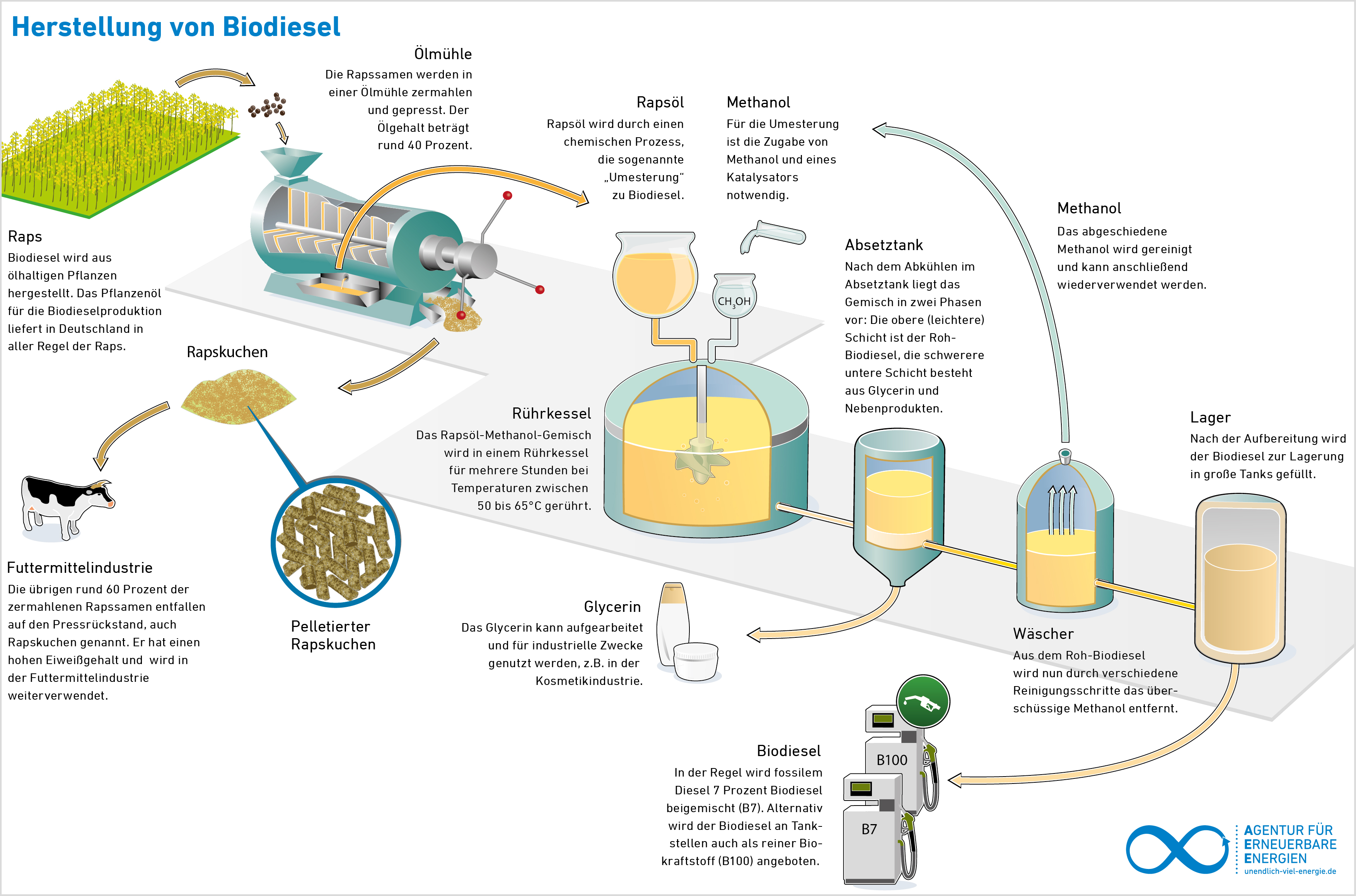 AEE_Herstellung_von_Biodiesel_jun12