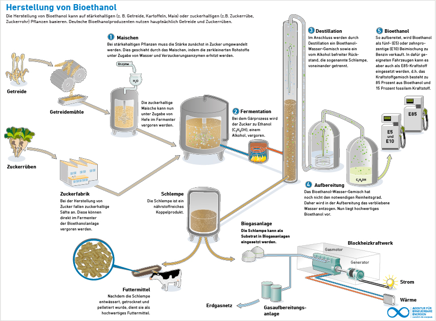 bioethanol aus zuckerruben