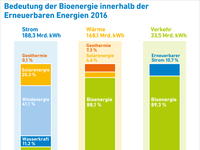 AEE_Bedeutung_Bioenergie_innerhalb_Erneuerbarer2016_Apr17