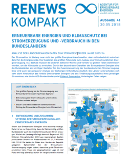 Renewes_Kompakt_41_cover