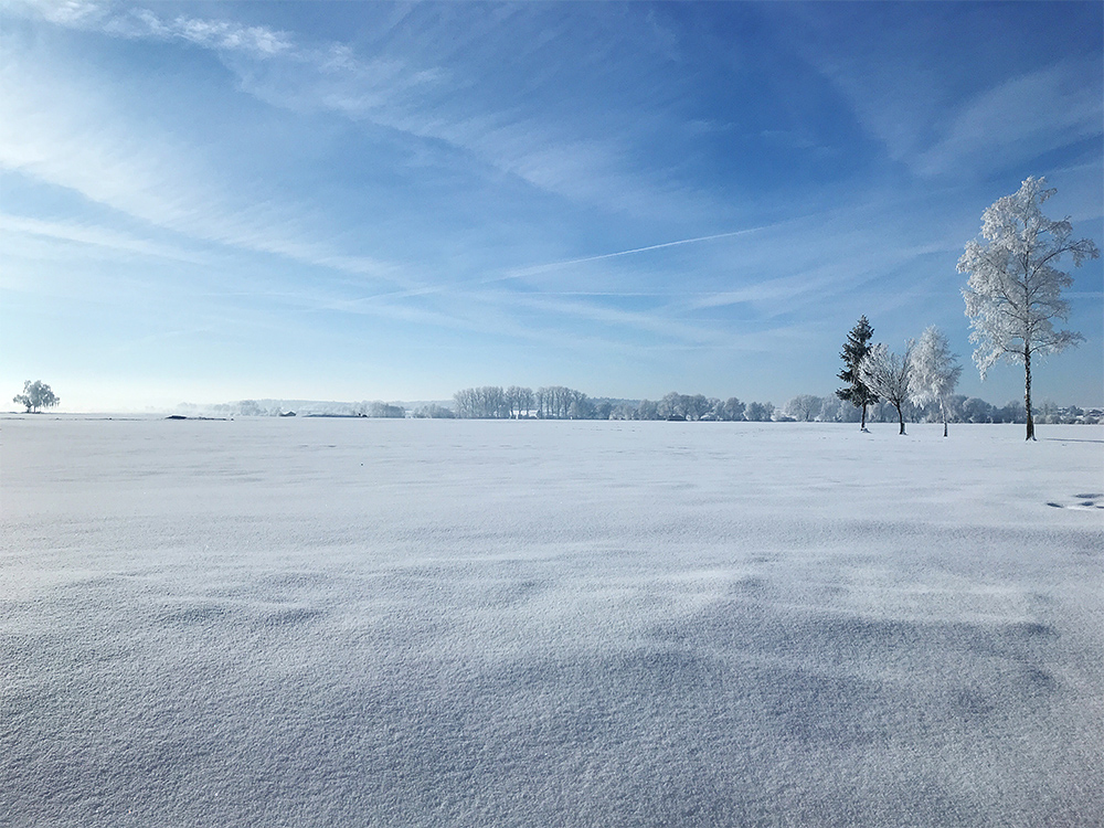 aee_allgaeu__regionalkonferenz (6)