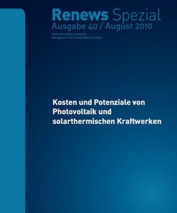 RS 40 Kosten Potenziale PV und CSP