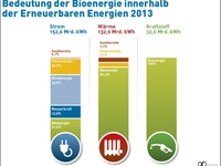 AEE_Bedeutung_Bioenergie_innerhalb_Erneuerbarer2013_jul14_72dpi