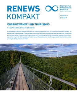 AEE_Renews_Kompakt_45_Titelblatt_de