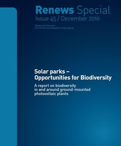 RS 45 Solar parks Biodiversity