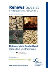 Renews Spezial Sonderausgabe / Februar 2014 - Holzenergie