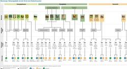 AEE_Bioenergie-Nutzungspfade_jan13_72dpi