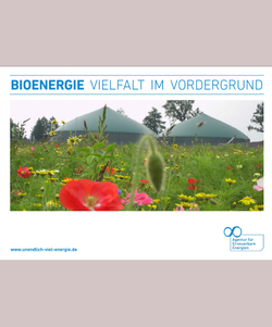 Titel_Bioenergie_Vielfalt_im_Vordergrund_hoch_grau