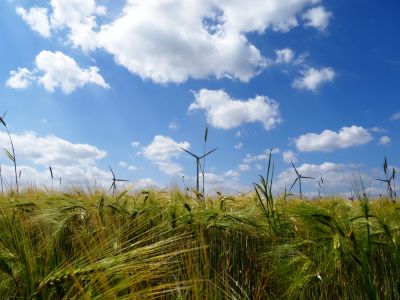 Bayerischer Verfassungsgerichtshof Bestatigt Restriktive