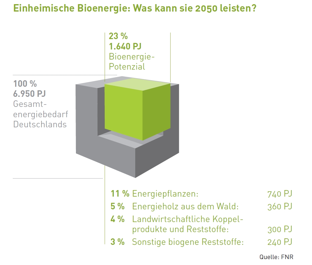 AEE_Einheimische_Bioenergie_Potenzial