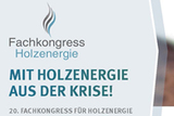 20. Fachkongress für Holzenergie - Holzenergie geht digital!