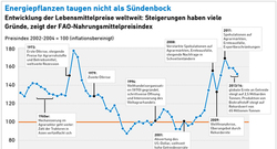 Energiepflanzen taugen nicht als Sündenbock