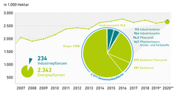 AEE-Anbau_Nachwachsende-Rohstoffe_2007-2020