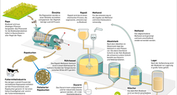 AEE_Herstellung_von_Biodiesel_Mai15_72dpi