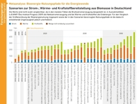 AEE_Bioenergie_Strom_Waerme_Kraftstoffe_absolut_sep15_klein_72dpi