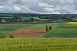 Hnfeldens Windpark im Wald 