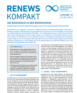 RenewsKompakt_30_DieBioenergieinderBioökonomie