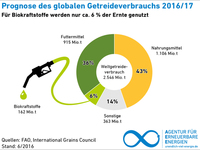 AEE_Getreide_weltweit_Anteil_Biokraftstoff_Jun16_72dpi