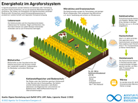 AEE_Agroforst-Energieholz_Mar22