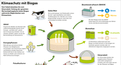 AEE_Klimaschutz_mit_Biogas_Jun22