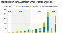 Metaanalyse-Grafiken-220622-Flex-Ausgleich-EE