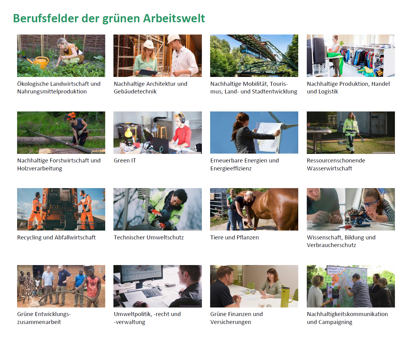 Berufsfelder_Netzwerk Grüne Arbeitswelt