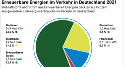 AEE_Erneuerbare-Energien-im-Verkehr-2021_okt22