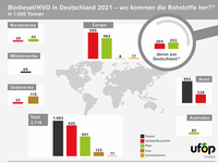 UFOP_Grafik_Biodiesel_weltweite Rohstoffherkuenfte