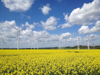 Windpark in Bad Wuenneberg_800x600_Kreis Paderborn-