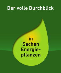 Titel_Durchblick_Energiepflanzen_Mai12
