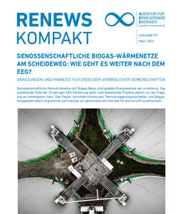 AEE_RK_Biogas_Waermenetze_Mar23