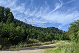 Fledermausfreundliche Windenergieanlagen