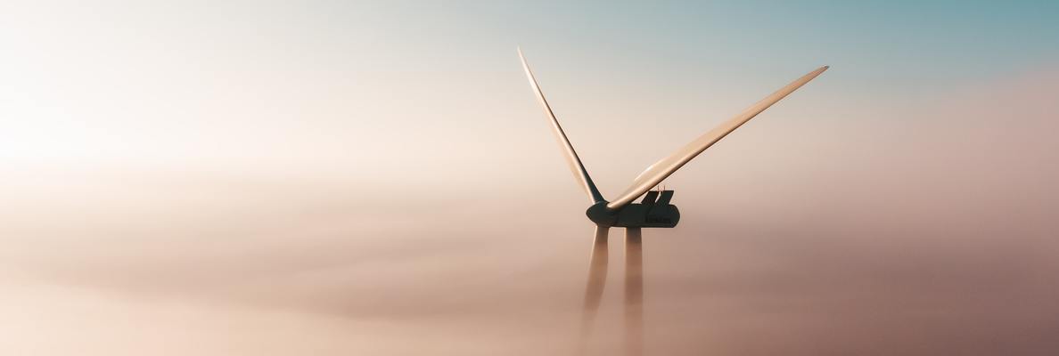 sander-weeteling-iGDg_f_mlWo-unsplash