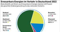 AEE_Erneuerbare-Energien-im-Verkehr-2022_feb-23