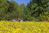 Mensch, Land, Energie