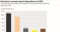 AEE_Importabhaengigkeit-2021_aug21_english