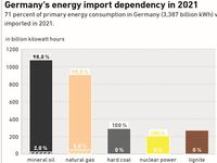 AEE_Importabhaengigkeit-2021_aug21_english