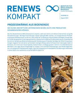 AEE_RenewsKompakt_Prozesswaerme_aug23_72dpi