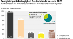 AEE_Importabhaengigkeit-2020_dez21_72dpi