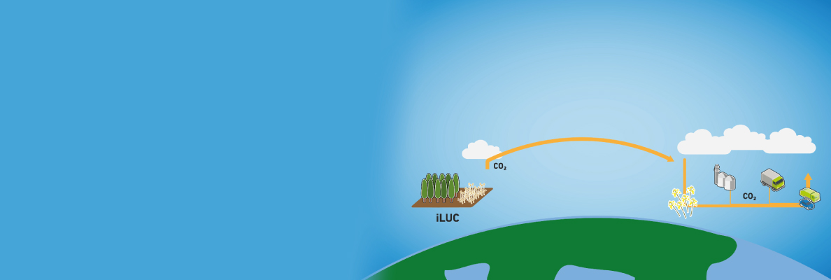 Bühne_Animation-iLuc-2