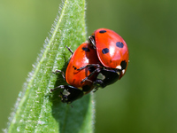 iStock-491708419
