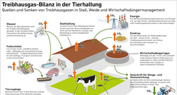 THG_Quellen_Senken_Tierhaltung_Sep22