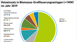 AEE_Holzverwendung_Grossverfeuerung_dez21