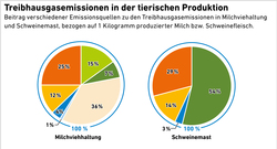 Anteile_Emissionsquellen_Tierhaltung_17