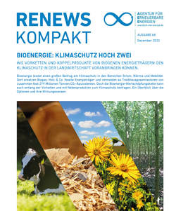 AEE_RenewsKompakt_Bioenergie_Klimaschutz hoch zwei_Dez23