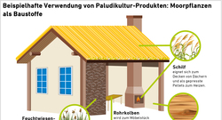 AEE_Paludikultur-Produkte-als-Baustoff_apr23-01